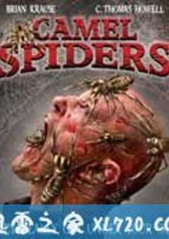 骆驼蜘蛛