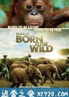 天生狂野 Born to Be Wild (2011) 4K网盘迅雷下载