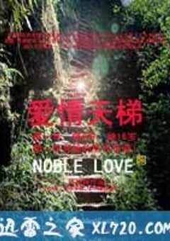 爱情天梯