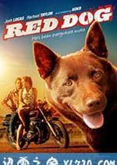 红犬历险记 Red Dog (2011) 4K网盘迅雷下载