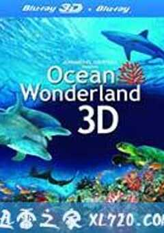 神奇的海洋 Amazing Ocean 3D (2012) 4K网盘迅雷下载