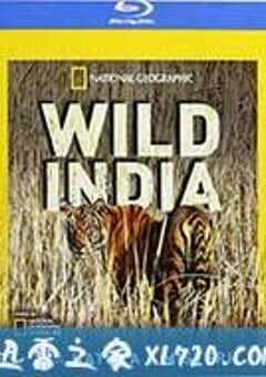 国家地理：狂野印度 Secrets of Wild India (2012) 4K网盘迅雷下载