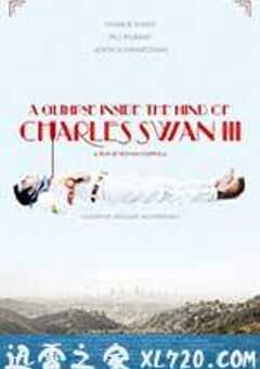 查尔斯·斯旺三世心灵一瞥