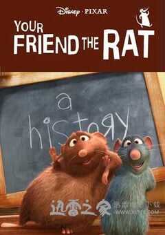 你的老鼠朋友