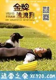 金牌流浪狗
