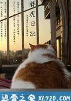 胖虎日记