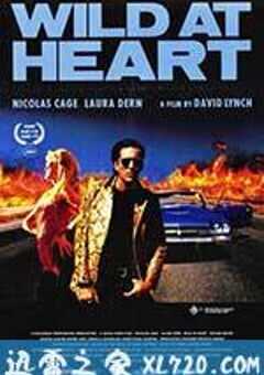 我心狂野 Wild at Heart (1990) 4K网盘迅雷下载