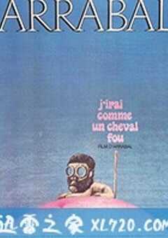 我像疯马般行走