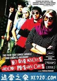 无人知晓的波斯猫