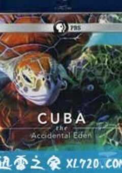 古巴：意外的伊甸园 Nature Cuba: The Accidental Eden (2010) 4K网盘迅雷下载
