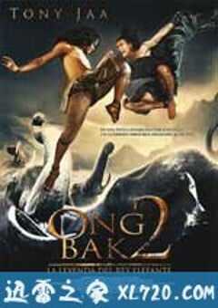 冬荫功2:拳霸天下