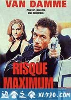 极度冒险 Maximum Risk (1996) 4K网盘迅雷下载