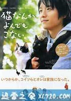 为什么猫都叫不来