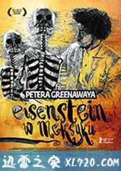 爱森斯坦在瓜纳华托