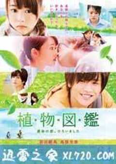 植物图鉴