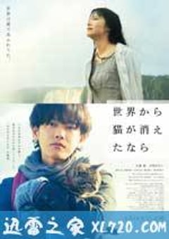 假如猫从世界上消失了