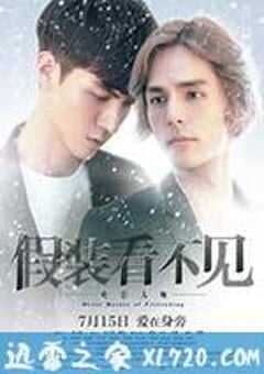 假装看不见之电影大师