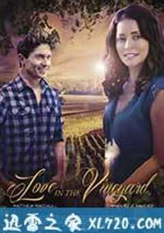 爱在葡萄园
