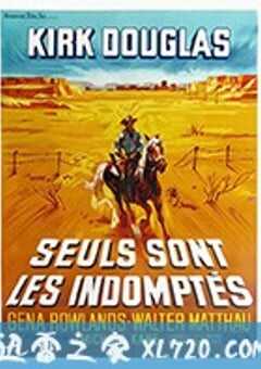 自古英雄多寂寞