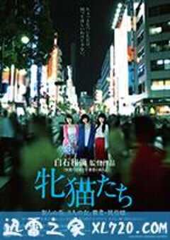 雌猫们