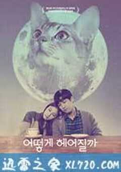 如何与我的猫分手