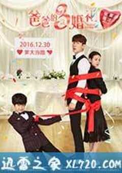 爸爸的3次婚礼 (2016) 4K网盘迅雷下载
