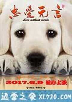 忠爱无言 (2017) 4K网盘迅雷下载