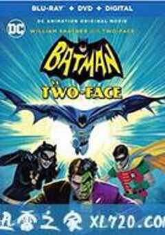 蝙蝠侠大战双面人