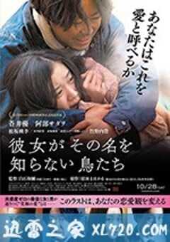 她不知道名字的那些鸟儿