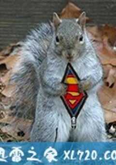 超级松鼠