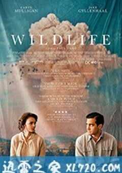 狂野生活 Wildlife (2018) 4K网盘迅雷下载