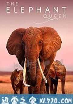 大象女王