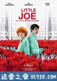 小小乔 Little Joe (2019) 4K网盘迅雷下载