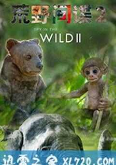 荒野间谍 第二季