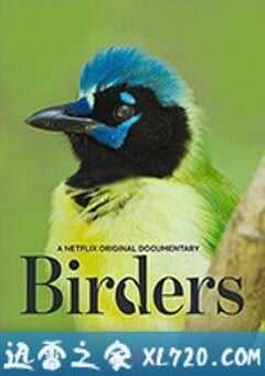 观鸟者