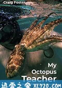 我的章鱼老师