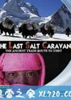 最后的盐道