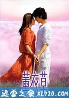 薰衣草 (2000) 4K网盘迅雷下载