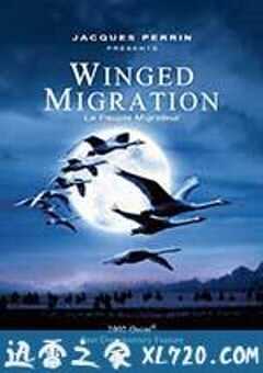 迁徙的鸟