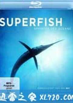 自然：超级鱼类