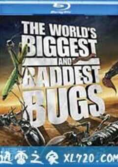 虫霸天下 World’s Biggest and Baddest Bugs (2009) 4K网盘迅雷下载