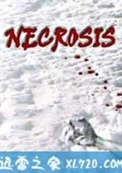 实体幽灵 Necrosis (2009) 4K网盘迅雷下载