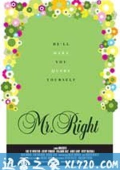 只爱意中人 Mr. Right (2009) 4K网盘迅雷下载