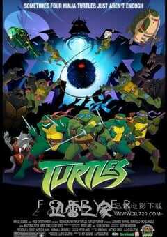永远的忍者神龟 Turtles Forever (2009) 4K网盘迅雷下载