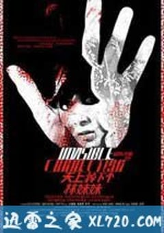 天上掉下个林妹妹