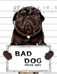 68部根据真实故事改编的高分电影