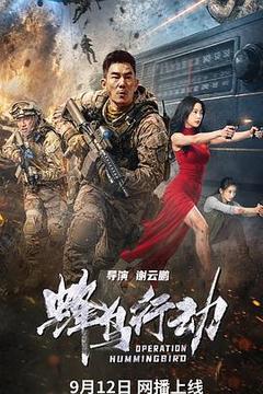 蜂鸟行动电影「1080p高清」4K网盘迅雷下载